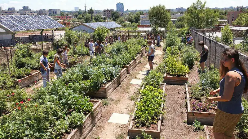 Jardines comunitarios fomentan un futuro sostenible